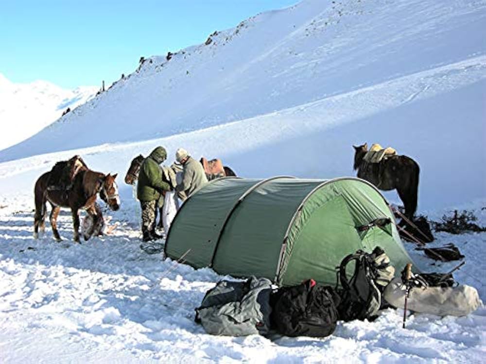 Amazon | [HILLEBERG(ヒルバーグ)] Keron 4 GT Green 12770013008004